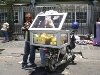 Mauritius Ananas Mango Salesman