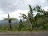 Mauritius Black River