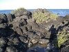 Mauritius Cap Malheureux Rocky Beach