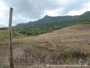 Mauritius Mountains