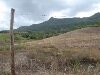 Mauritius Mountains