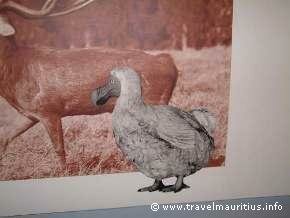 Mauritius History Dodo