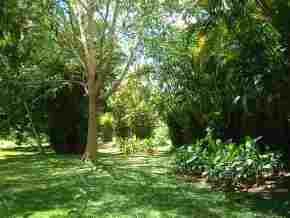 Mauritius Jardin Mon Plaisir