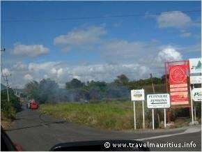 Mauritius Fire Workers