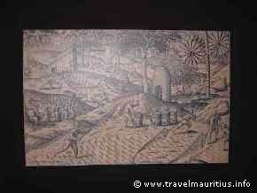 Mauritius History Slave