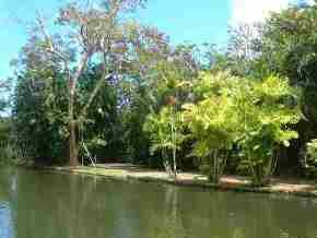 Mauritius Tropical Garden